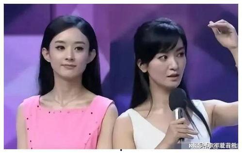 娱乐圈吃瓜爆料燕子,燕子吃瓜爆料，揭秘明星幕后故事
