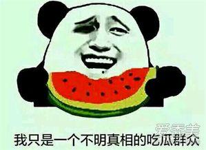 娱乐吃瓜啥意思